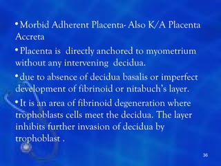 •Morbid Adherent Placenta- Also K/A Placenta
Accreta
•Placenta is directly anchored to myometrium
without any intervening decidua.
•due to absence of decidua basalis or imperfect
development of fibrinoid or nitabuch’s layer.
•It is an area of fibrinoid degeneration where
trophoblasts cells meet the decidua. The layer
inhibits further invasion of decidua by
trophoblast .
                                                  36
 
