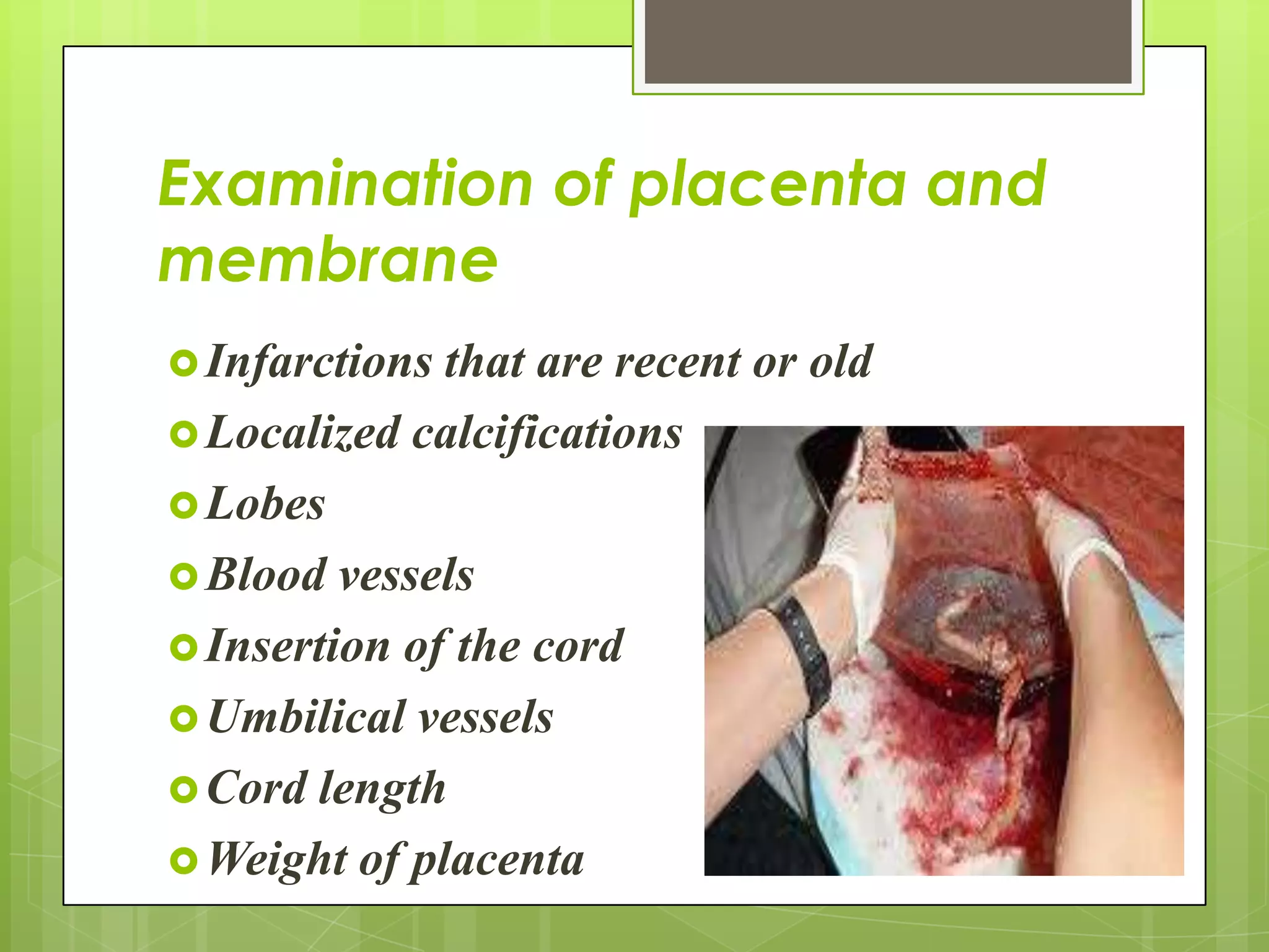 Examination of placenta and
membrane
Infarctions that are recent or old
Localized calcifications
Lobes
Blood vessels
Insertion of the cord
Umbilical vessels
Cord length
Weight of placenta
 