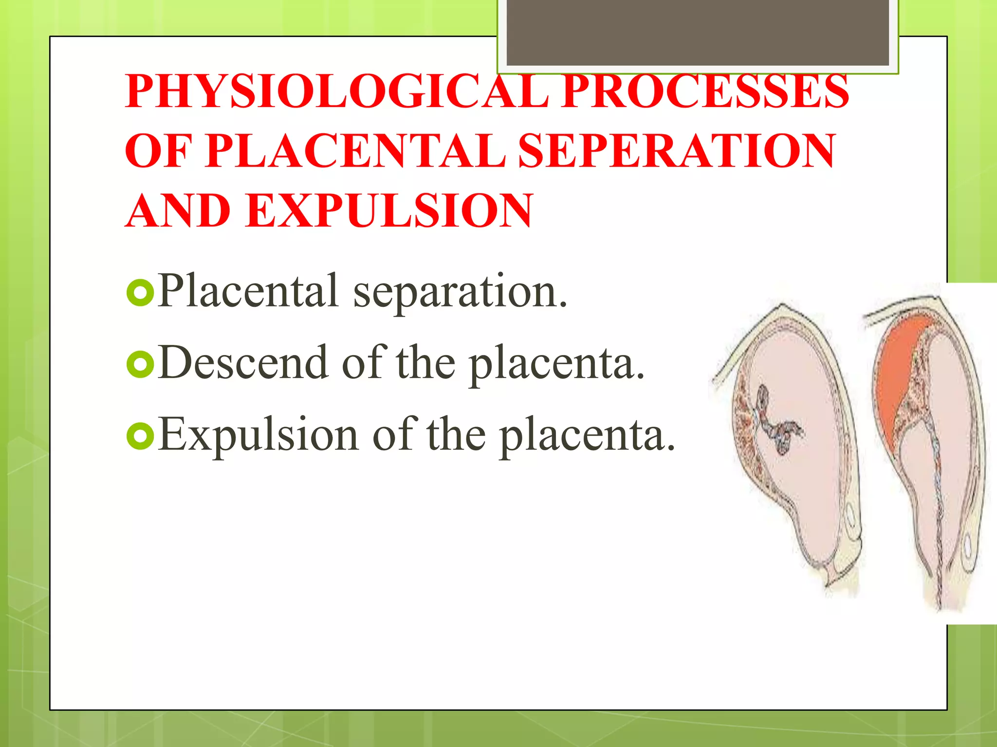 PHYSIOLOGICAL PROCESSES
OF PLACENTAL SEPERATION
AND EXPULSION
Placental separation.
Descend of the placenta.
Expulsion of the placenta.
 