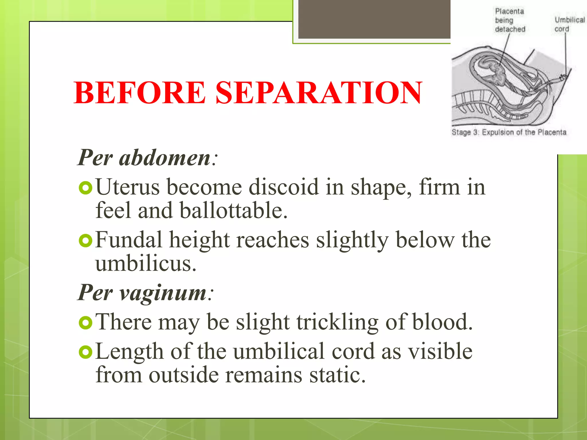 BEFORE SEPARATION
Per abdomen:
Uterus become discoid in shape, firm in
feel and ballottable.
Fundal height reaches slightly below the
umbilicus.
Per vaginum:
There may be slight trickling of blood.
Length of the umbilical cord as visible
from outside remains static.
 