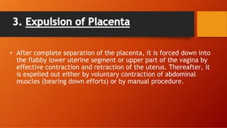 3. Expulsion of Placenta
• After complete separation of the placenta, it is forced down into
the flabby lower uterine segment or upper part of the vagina by
effective contraction and retraction of the uterus. Thereafter, it
is expelled out either by voluntary contraction of abdominal
muscles (bearing down efforts) or by manual procedure.
 