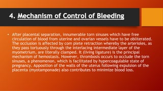 4. Mechanism of Control of Bleeding
• After placental separation, innumerable torn sinuses which have free
circulation of blood from uterine and ovarian vessels have to be obliterated.
The occlusion is affected by com plete retraction whereby the arterioles, as
they pass tortuously through the interlacing intermediate layer of the
myometrium, are literally clamped. It (living ligature) is the principal
mechanism of hemostasis. However, thrombosis occurs to occlude the torn
sinuses, a phenomenon, which is facilitated by hypercoagulable state of
pregnancy. Apposition of the walls of the uterus following expulsion of the
placenta (myotamponade) also contributes to minimize blood loss.
 