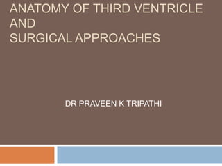 ANATOMY OF THIRD VENTRICLE
AND
SURGICAL APPROACHES
DR PRAVEEN K TRIPATHI
 