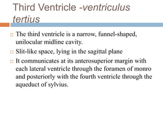 thirdventricle-170407200506 (1).pdf