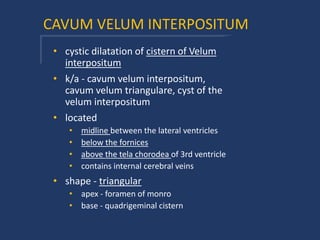 CAVUM VELUM INTERPOSITUM
• cystic dilatation of cistern of Velum
interpositum
• k/a - cavum velum interpositum,
cavum velum triangulare, cyst of the
velum interpositum
• located
• midline between the lateral ventricles
• below the fornices
• above the tela chorodea of 3rd ventricle
• contains internal cerebral veins
• shape - triangular
• apex - foramen of monro
• base - quadrigeminal cistern
 