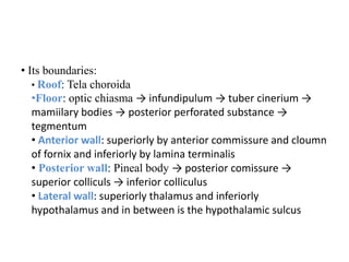 • Its boundaries:
• Roof: Tela choroida
•Floor: optic chiasma → infundipulum → tuber cinerium →
mamiilary bodies → posterior perforated substance →
tegmentum
• Anterior wall: superiorly by anterior commissure and cloumn
of fornix and inferiorly by lamina terminalis
• Posterior wall: Pineal body → posterior comissure →
superior colliculs → inferior colliculus
• Lateral wall: superiorly thalamus and inferiorly
hypothalamus and in between is the hypothalamic sulcus
 