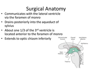 Surgical Anatomy
• Communicates with the lateral ventricle
via the foramen of monro
• Drains posteriorly into the aqueduct of
sylvius
• About one 1/3 of the 3rd ventricle is
located anterior to the foramen of monro
• Extends to optic chiasm inferiorly
 