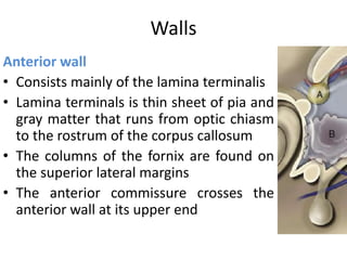 Walls
Anterior wall
• Consists mainly of the lamina terminalis
• Lamina terminals is thin sheet of pia and
gray matter that runs from optic chiasm
to the rostrum of the corpus callosum
• The columns of the fornix are found on
the superior lateral margins
• The anterior commissure crosses the
anterior wall at its upper end
 