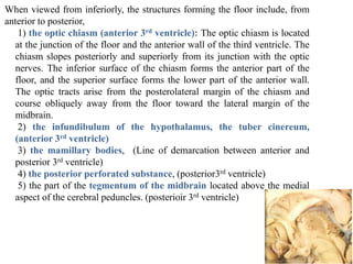 When viewed from inferiorly, the structures forming the floor include, from
anterior to posterior,
1) the optic chiasm (anterior 3rd ventricle): The optic chiasm is located
at the junction of the floor and the anterior wall of the third ventricle. The
chiasm slopes posteriorly and superiorly from its junction with the optic
nerves. The inferior surface of the chiasm forms the anterior part of the
floor, and the superior surface forms the lower part of the anterior wall.
The optic tracts arise from the posterolateral margin of the chiasm and
course obliquely away from the floor toward the lateral margin of the
midbrain.
2) the infundibulum of the hypothalamus, the tuber cinereum,
(anterior 3rd ventricle)
3) the mamillary bodies, (Line of demarcation between anterior and
posterior 3rd ventricle)
4) the posterior perforated substance, (posterior3rd ventricle)
5) the part of the tegmentum of the midbrain located above the medial
aspect of the cerebral peduncles. (posterioir 3rd ventricle)
 