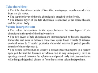Tela choroidea:
 The tela choroidea consists of two thin, semiopaque membranes derived
from the pia mater.
 The superior layer of the tela choroidea is attached to the fornix.
 The inferior layer of the tela choroidea is attached to the teniae thalami
and the pineal body.
Velum Interpositum:
 The velum interpositum is the space between the two layers of tela
choroidea in the roof of the third ventricle.
 The two layers of tela chooridea are interconnected by loosely organized
trabeculae and runs in between these two layers blood vessels (2 internal
cerebral veins & 2 medial posterior choroidal arteries & paired parallel
strands of choroid plexus ).
 The velum interpositum is usually a closed space that tapers to a narrow
apex just behind the foramen of Monro, but it may infrequently have an
opening situated between the splenium and pineal body that communicates
with the quadrigeminal cistern to form the cisterna velum interpositum.
 