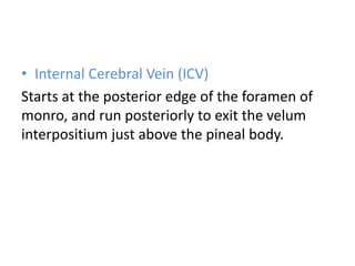 • Internal Cerebral Vein (ICV)
Starts at the posterior edge of the foramen of
monro, and run posteriorly to exit the velum
interpositium just above the pineal body.
 
