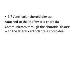 • 3rd Ventricular choroid plexus:
Attached to the roof by tela choroida
Communicates through the choroidal fissure
with the lateral ventriclar tela choroidea
 