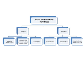 APPROACH TO THIRD
VENTRICLE
ANTERIOR
ANTERIOR
TRANSCALLOSAL
TRANSCORTICAL
(THROUGH MIDDLE
FRONTAL GYRUS)
SUBFRONTAL
POSTERIOR
TRANSCALLOSAL TRANSCORTICAL
INFRATENTORIAL
SUPRACELEBELLAR
 