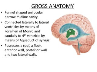 GROSS ANATOMY
• Funnel shaped unilocular
narrow midline cavity.
• Connected laterally to lateral
ventricles by means of
Foramen of Monro and
caudally to 4th ventricle by
means of Aqueduct of sylvius.
• Possesses a roof, a floor,
anterior wall, posterior wall
and two lateral walls.
 