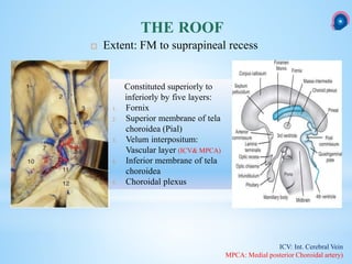 THE ROOF
 Extent: FM to suprapineal recess
ICV: Int. Cerebral Vein
MPCA: Medial posterior Choroidal artery)
Constituted superiorly to
inferiorly by five layers:
1. Fornix
2. Superior membrane of tela
choroidea (Pial)
3. Velum interpositum:
Vascular layer (ICV& MPCA)
4. Inferior membrane of tela
choroidea
5. Choroidal plexus
 