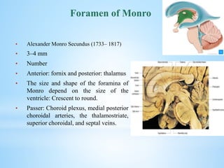 • Alexander Monro Secundus (1733– 1817)
• 3–4 mm
• Number
• Anterior: fornix and posterior: thalamus
• The size and shape of the foramina of
Monro depend on the size of the
ventricle: Crescent to round.
• Passer: Choroid plexus, medial posterior
choroidal arteries, the thalamostriate,
superior choroidal, and septal veins.
Foramen of Monro
 