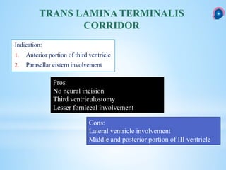 Indication:
1. Anterior portion of third ventricle
2. Parasellar cistern involvement
TRANS LAMINA TERMINALIS
CORRIDOR
Pros
No neural incision
Third ventriculostomy
Lesser forniceal involvement
Cons:
Lateral ventricle involvement
Middle and posterior portion of III ventricle
 