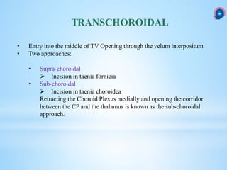 TRANSCHOROIDAL
• Entry into the middle of TV Opening through the velum interpositum
• Two approaches:
• Supra-choroidal
 Incision in taenia fornicia
• Sub-choroidal
 Incision in taenia choroidea
Retracting the Choroid Plexus medially and opening the corridor
between the CP and the thalamus is known as the sub-choroidal
approach.
 