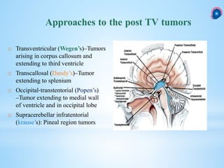Approaches to the post TV tumors
 Transventricular (Wegen’s)–Tumors
arising in corpus callosum and
extending to third ventricle
 Transcallosal (Dandy’s)–Tumor
extending to splenium
 Occipital‐transtentorial (Popen’s)
–Tumor extending to medial wall
of ventricle and in occipital lobe
 Supracerebellar infratentorial
(krause’s): Pineal region tumors
 