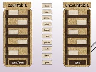 countable uncountable
some/a/an some
rice
egg
plum
lemon
milk
potato
tea
bread
onion
water
 