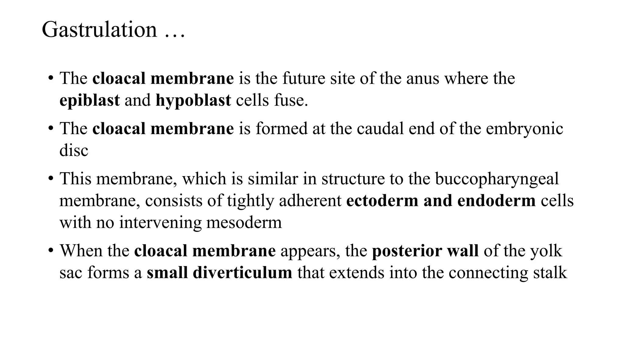 Gastrulation …
• The cloacal membrane is the future site of the anus where the
epiblast and hypoblast cells fuse.
• The cloacal membrane is formed at the caudal end of the embryonic
disc
• This membrane, which is similar in structure to the buccopharyngeal
membrane, consists of tightly adherent ectoderm and endoderm cells
with no intervening mesoderm
• When the cloacal membrane appears, the posterior wall of the yolk
sac forms a small diverticulum that extends into the connecting stalk
 