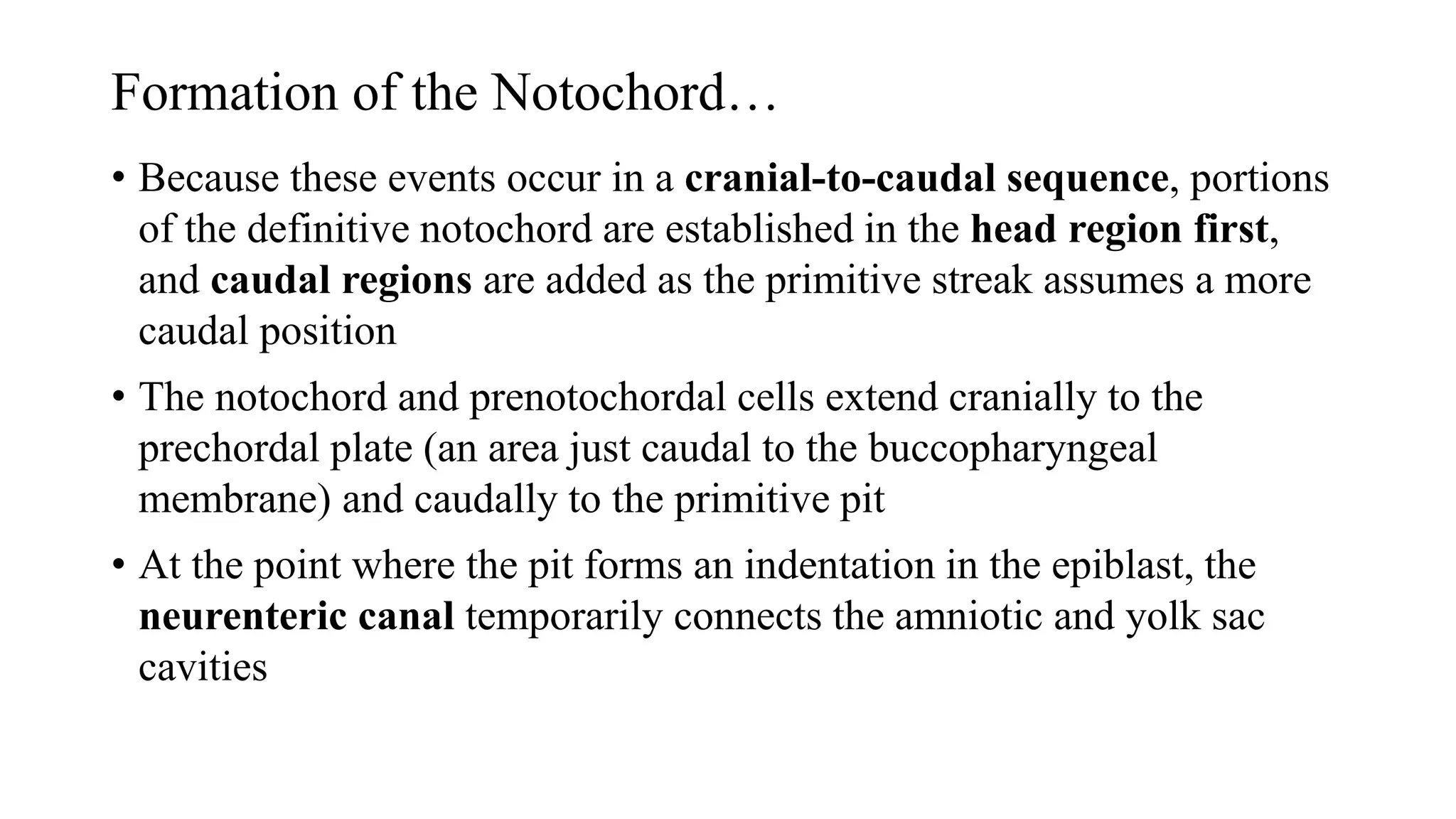 Formation of the Notochord…
• Because these events occur in a cranial-to-caudal sequence, portions
of the definitive notochord are established in the head region first,
and caudal regions are added as the primitive streak assumes a more
caudal position
• The notochord and prenotochordal cells extend cranially to the
prechordal plate (an area just caudal to the buccopharyngeal
membrane) and caudally to the primitive pit
• At the point where the pit forms an indentation in the epiblast, the
neurenteric canal temporarily connects the amniotic and yolk sac
cavities
 
