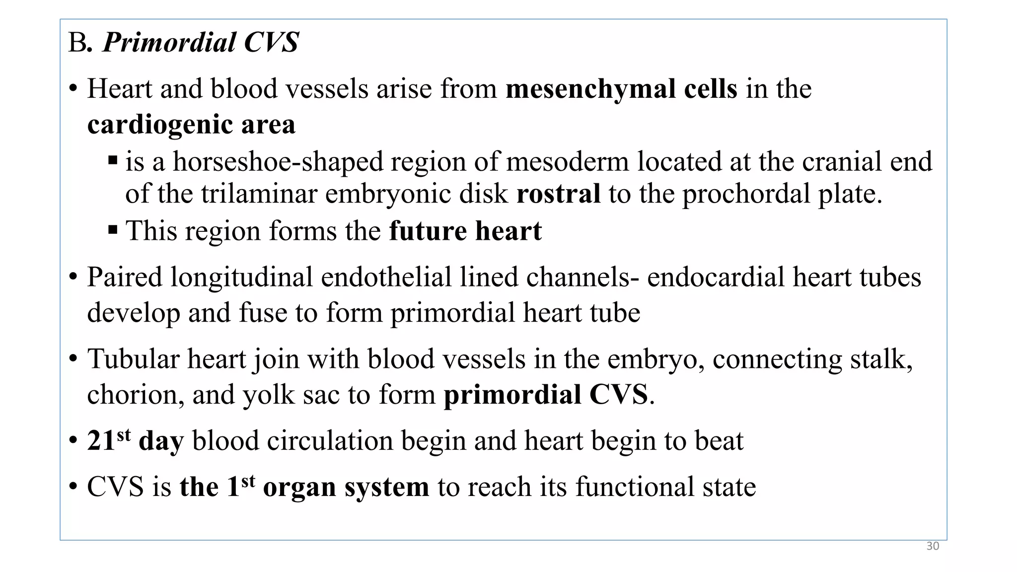 30
B. Primordial CVS
• Heart and blood vessels arise from mesenchymal cells in the
cardiogenic area
 is a horseshoe-shaped region of mesoderm located at the cranial end
of the trilaminar embryonic disk rostral to the prochordal plate.
 This region forms the future heart
• Paired longitudinal endothelial lined channels- endocardial heart tubes
develop and fuse to form primordial heart tube
• Tubular heart join with blood vessels in the embryo, connecting stalk,
chorion, and yolk sac to form primordial CVS.
• 21st day blood circulation begin and heart begin to beat
• CVS is the 1st organ system to reach its functional state
 