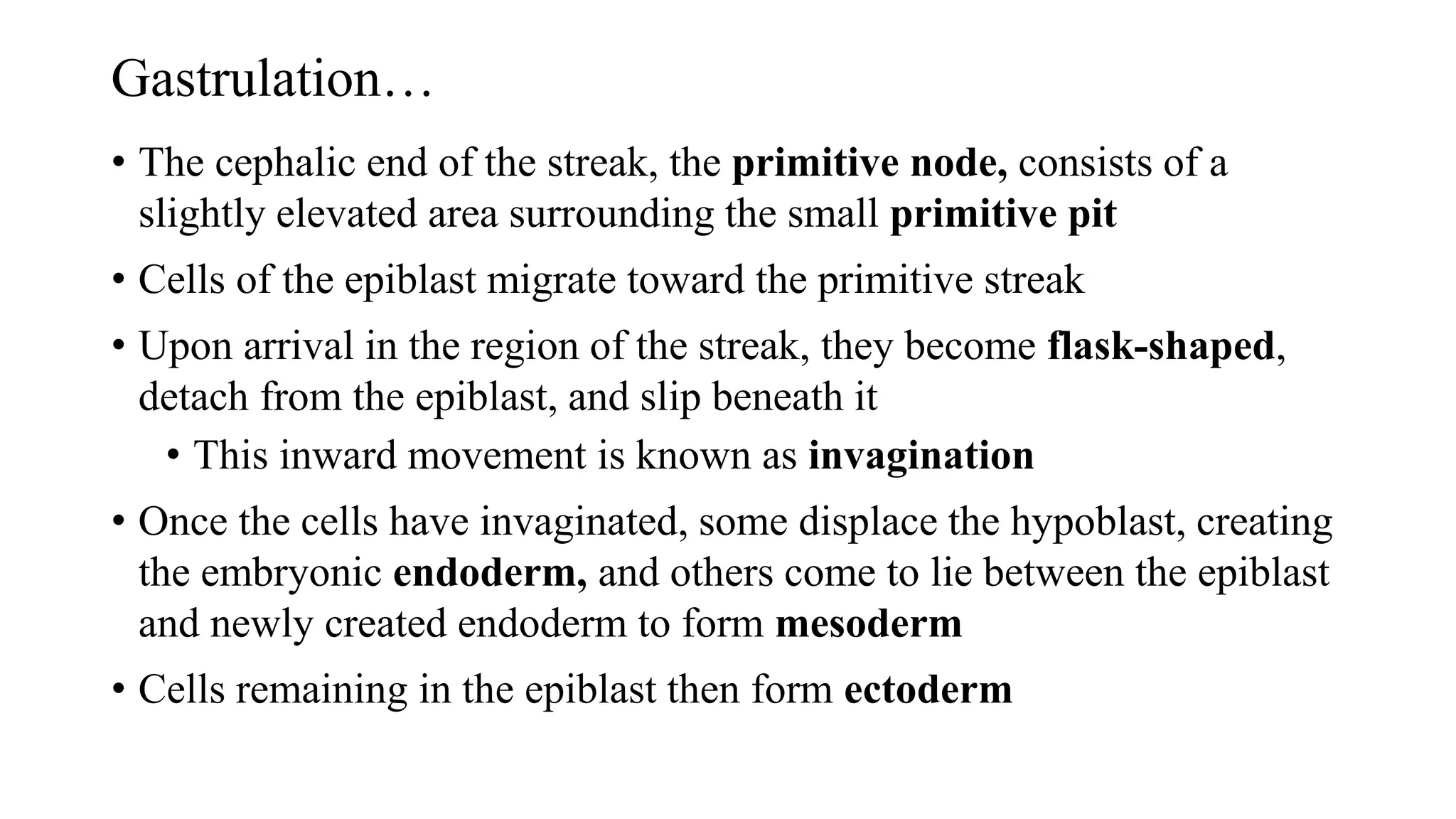 Gastrulation…
• The cephalic end of the streak, the primitive node, consists of a
slightly elevated area surrounding the small primitive pit
• Cells of the epiblast migrate toward the primitive streak
• Upon arrival in the region of the streak, they become flask-shaped,
detach from the epiblast, and slip beneath it
• This inward movement is known as invagination
• Once the cells have invaginated, some displace the hypoblast, creating
the embryonic endoderm, and others come to lie between the epiblast
and newly created endoderm to form mesoderm
• Cells remaining in the epiblast then form ectoderm
 