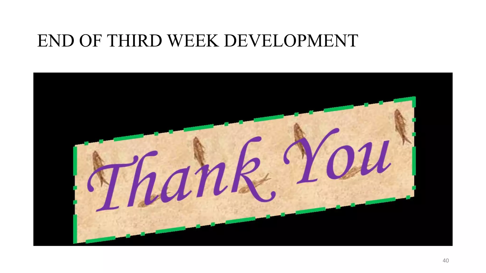 END OF THIRD WEEK DEVELOPMENT
40
 