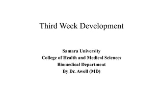 Third Week Development
Samara University
College of Health and Medical Sciences
Biomedical Department
By Dr. Awoll (MD)
 