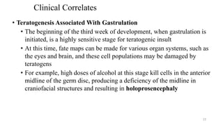 Clinical Correlates
• Teratogenesis Associated With Gastrulation
• The beginning of the third week of development, when gastrulation is
initiated, is a highly sensitive stage for teratogenic insult
• At this time, fate maps can be made for various organ systems, such as
the eyes and brain, and these cell populations may be damaged by
teratogens
• For example, high doses of alcohol at this stage kill cells in the anterior
midline of the germ disc, producing a deficiency of the midline in
craniofacial structures and resulting in holoprosencephaly
23
 