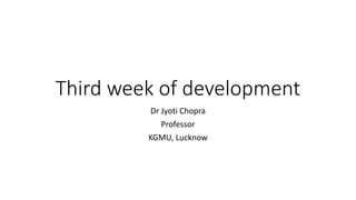 Third week of development
Dr Jyoti Chopra
Professor
KGMU, Lucknow
 