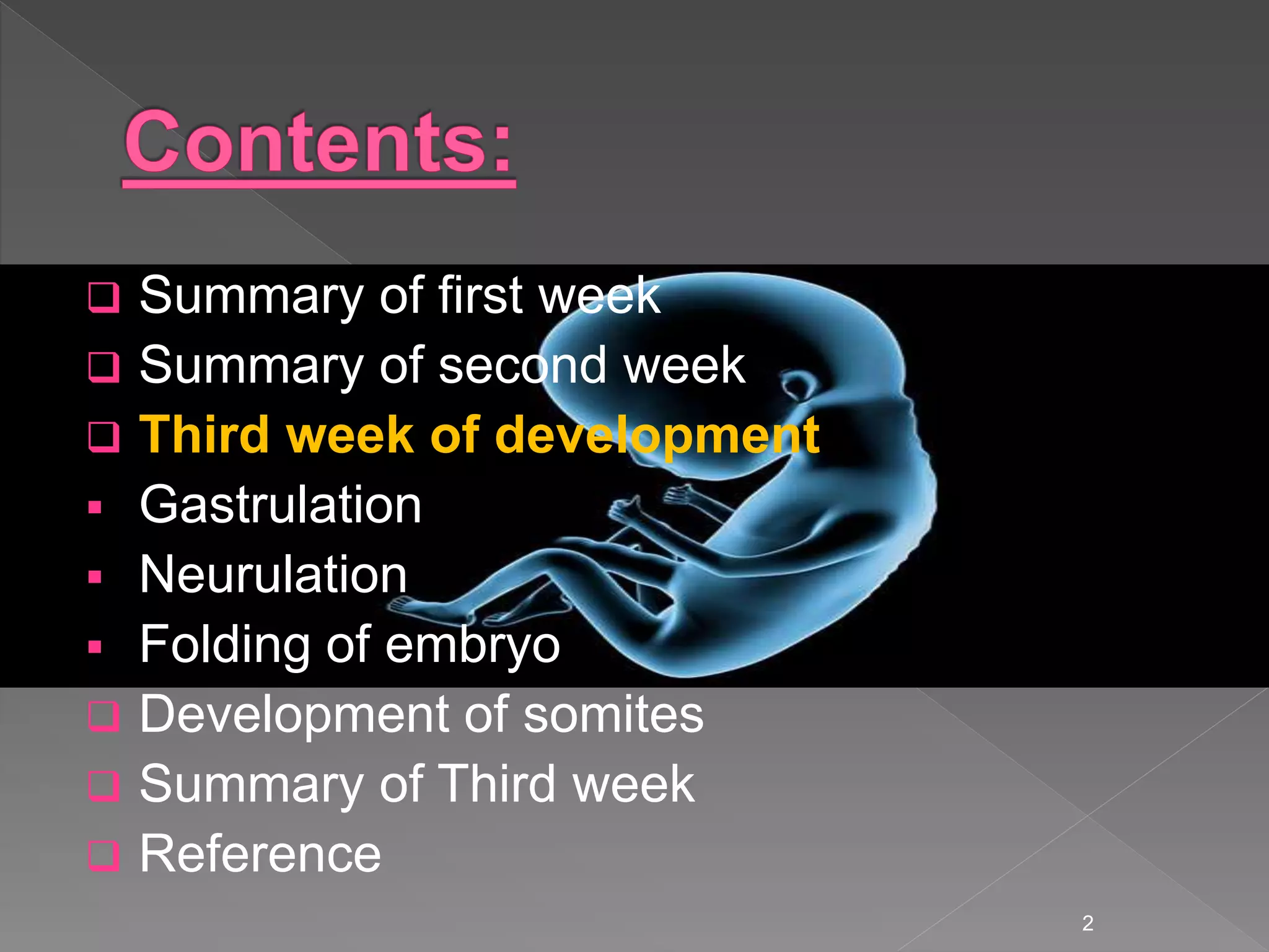 Third week of human development | PPTX