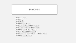 Major Histocompatibility - Complex -Immune system | PPTX