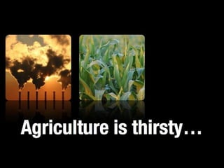 Thirst for water