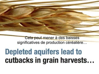 Cela peut mener à des baisses
significatives de production céréalière…
 