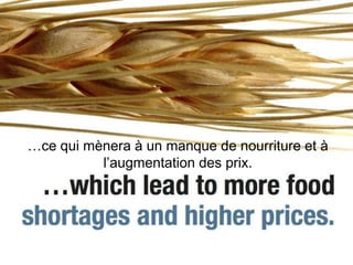…ce qui mènera à un manque de nourriture et à
          l’augmentation des prix.
 