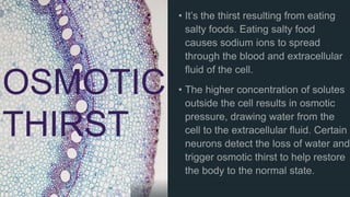 OSMOTIC
THIRST
 