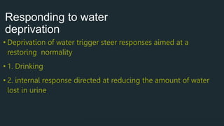 Responding to water
deprivation
 