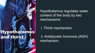 Hypothalamus
and thirst
Hypothalamus regulates water
content of the body by two
mechanisms:
i. Thirst mechanism
ii. Antidiuretic hormone (ADH)
mechanism.
 