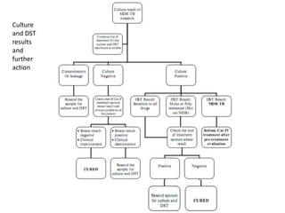 Resistance incidenceINH resistance  18%RIFAMPICIN resistance  2%Failure rate even after complete trt under cat1 &cat2 tretment are 2% and 6% respectively.New cases 1-3%Previously treated cases 12-17%