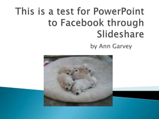 This is a test for PowerPoint to Facebook through Slideshare by Ann Garvey  