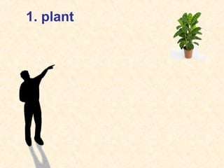 1. plant
 