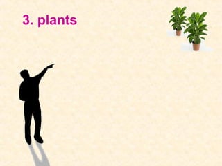 3. plants
 