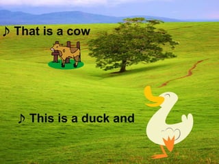 ♪ This is a duck and
♪ That is a cow
 