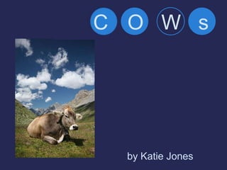 C O W s




  by Katie Jones
 