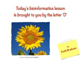 Today's bioinformatics lesson
is brought to you by the letter 'D'
by
Keith Bradnam
Image from ﬂickr.com/91619273@N00/
Today'sbloinformatieslesson
isbroughttoyoubytheletter101
Imagefromflickr.com/91619273©NO0/
 