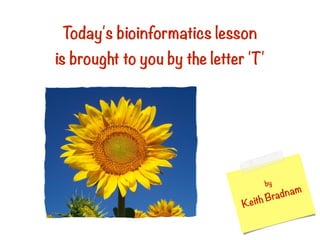 Today's bioinformatics lesson
is brought to you by the letter 'T'
by
Keith Bradnam
Today'sbloinformatieslesson
isbroughttoyoubytheletterT1
 