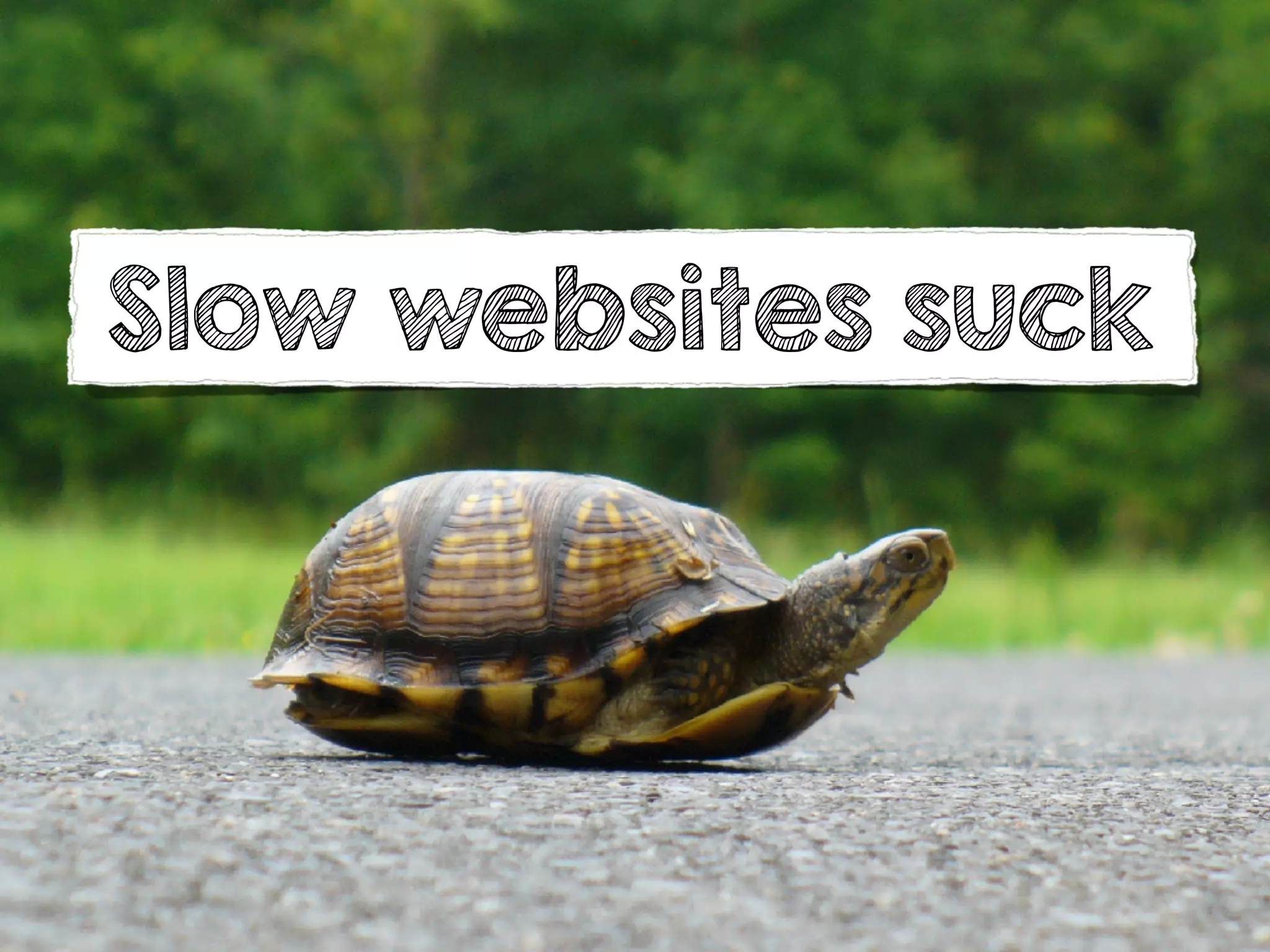 Slow websites suck
 
