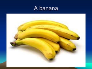 A banana
 